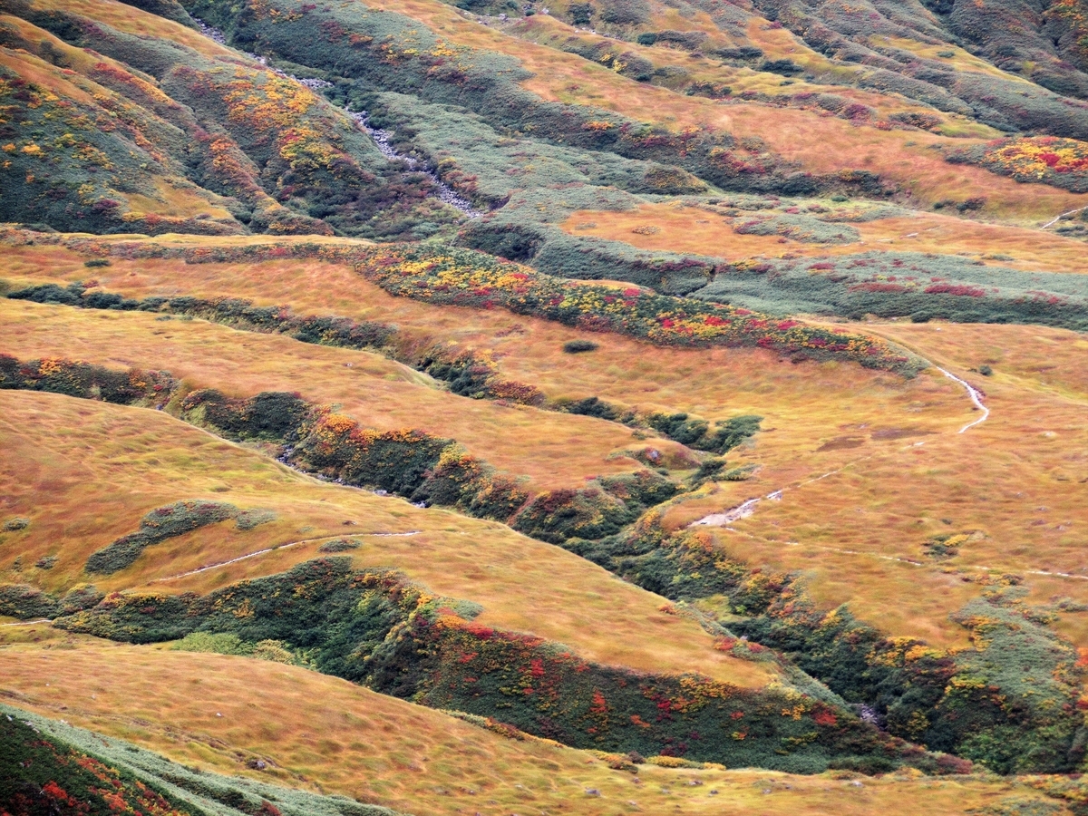 f:id:pft78526:20191014091650j:plain