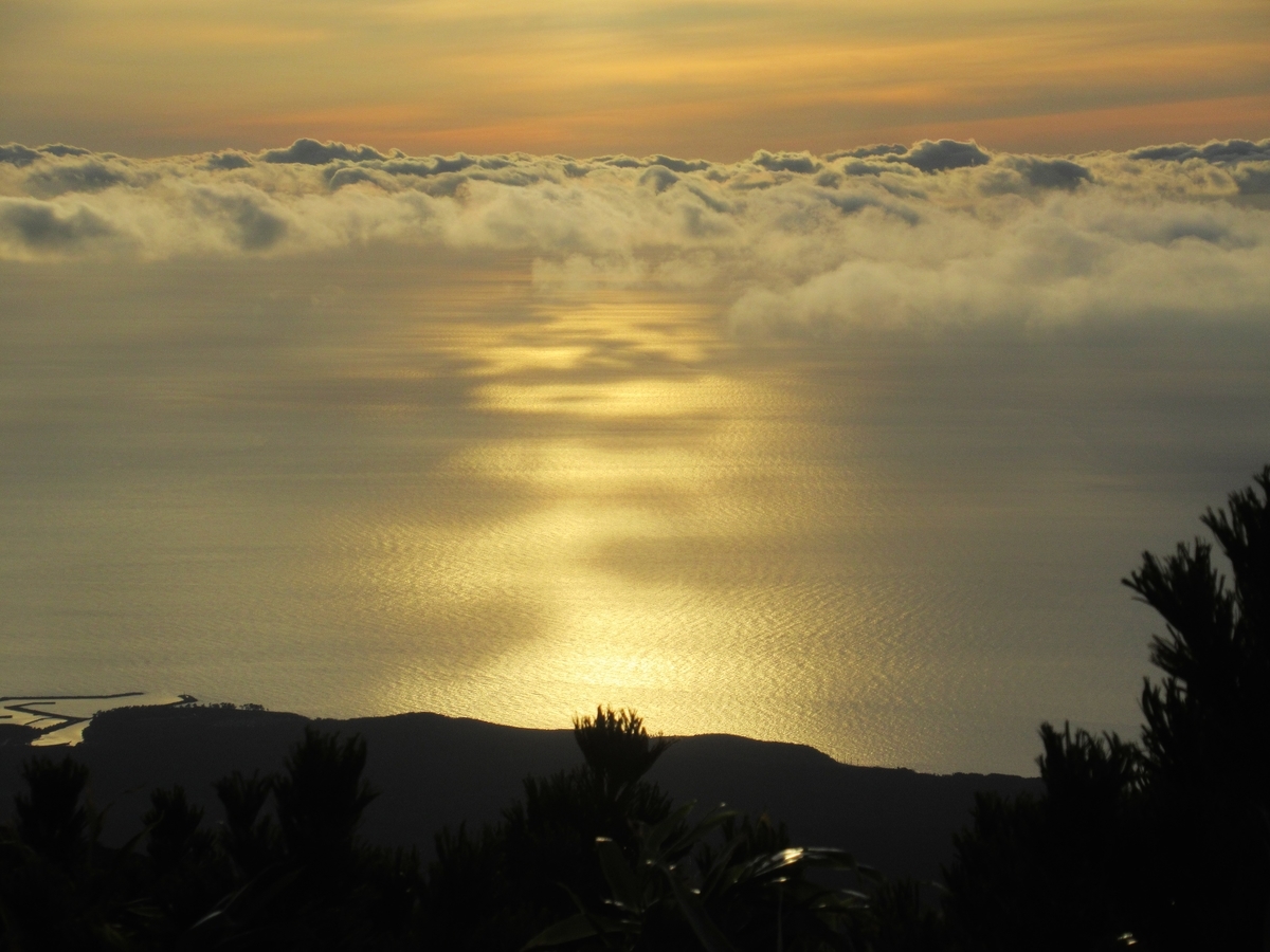 f:id:pft78526:20191031201843j:plain