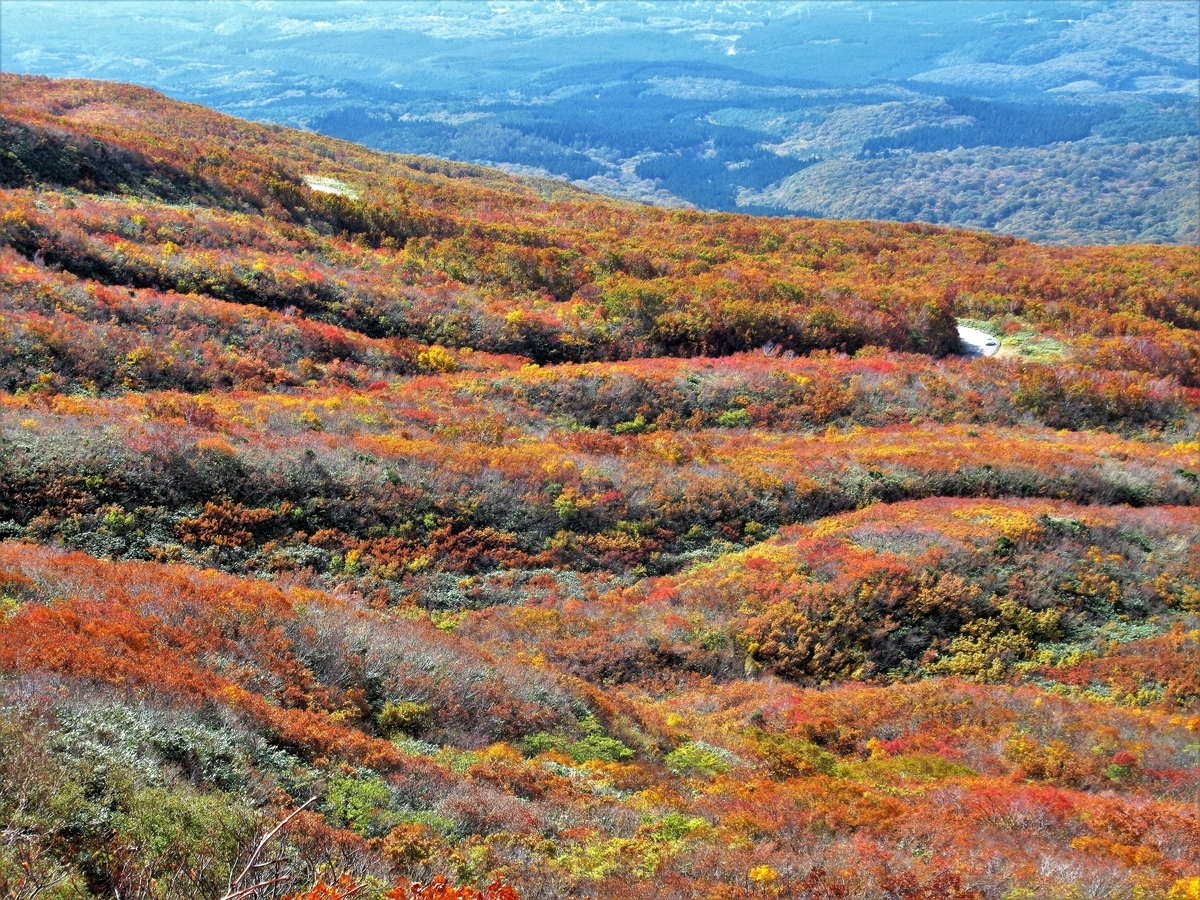 f:id:pft78526:20191101164557j:plain