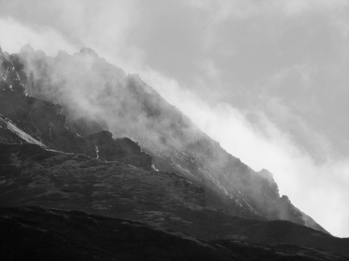 f:id:pft78526:20191109082515j:plain