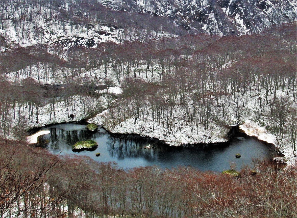 f:id:pft78526:20191129181534j:plain