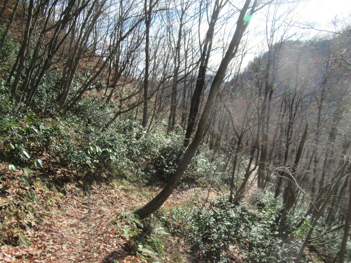 f:id:pft78526:20191204211516j:plain f:id:pft78526:20191204211516j:plain
