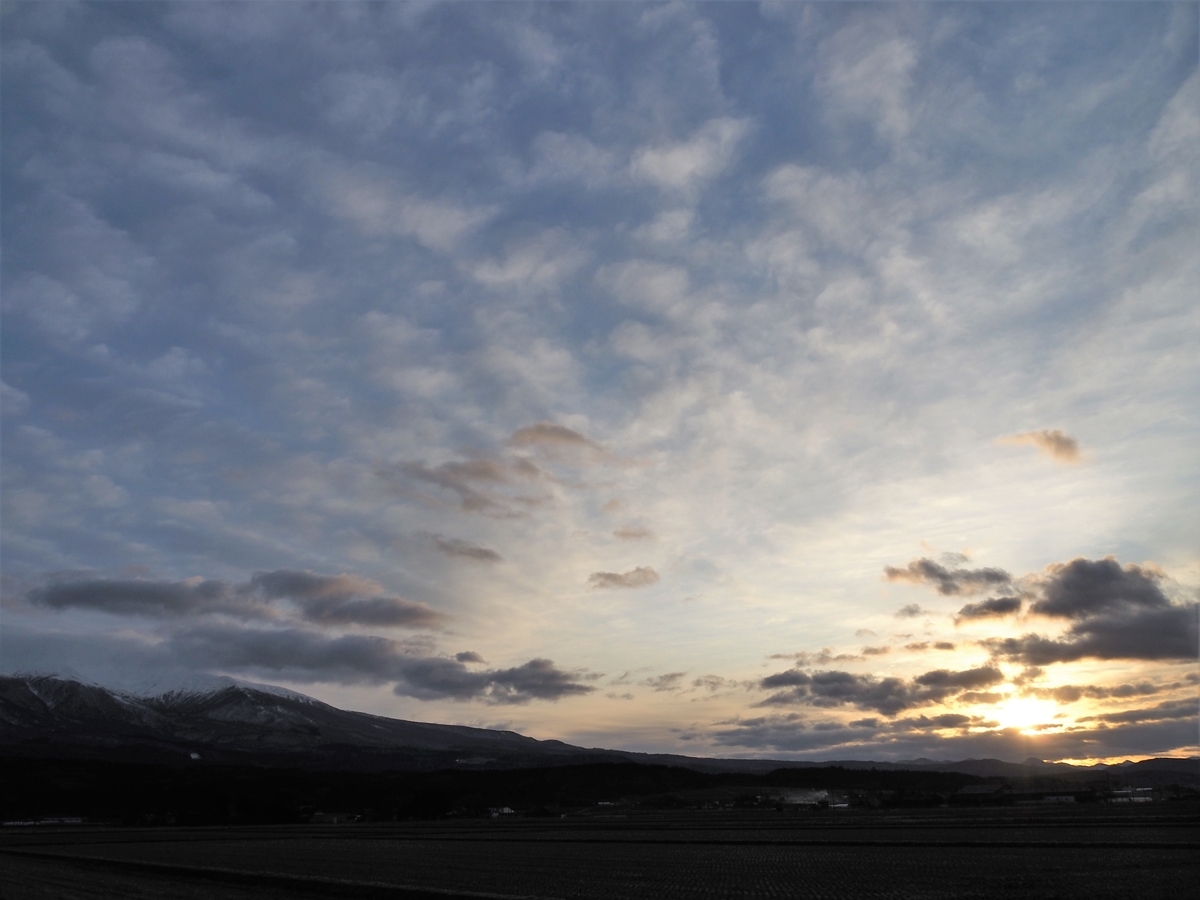 f:id:pft78526:20200129201246j:plain