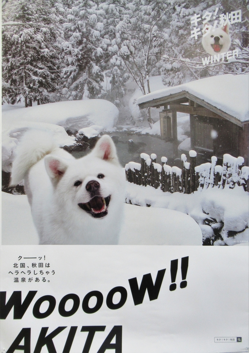 f:id:pft78526:20200129202215j:plain