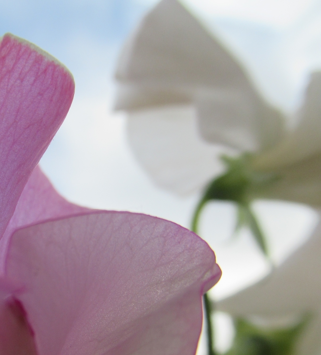 f:id:pft78526:20200201165916j:plain f:id:pft78526:20200201165916j:plain