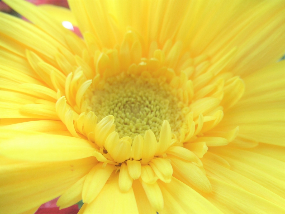 f:id:pft78526:20200201165927j:plain f:id:pft78526:20200201165927j:plain