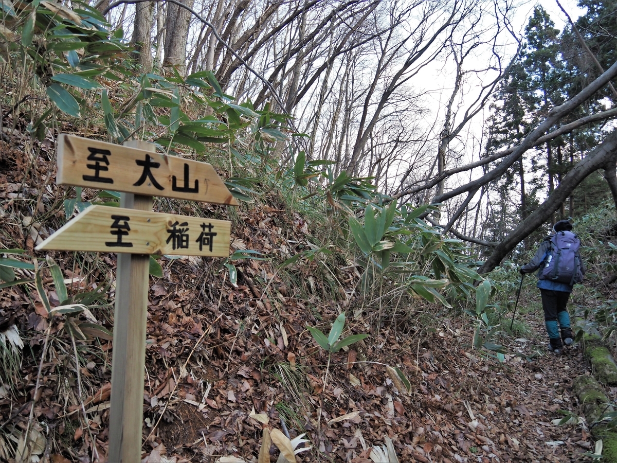 f:id:pft78526:20200208121808j:plain