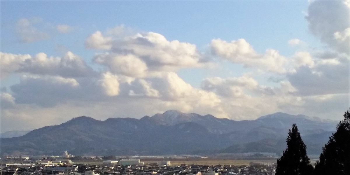f:id:pft78526:20200208124047j:plain