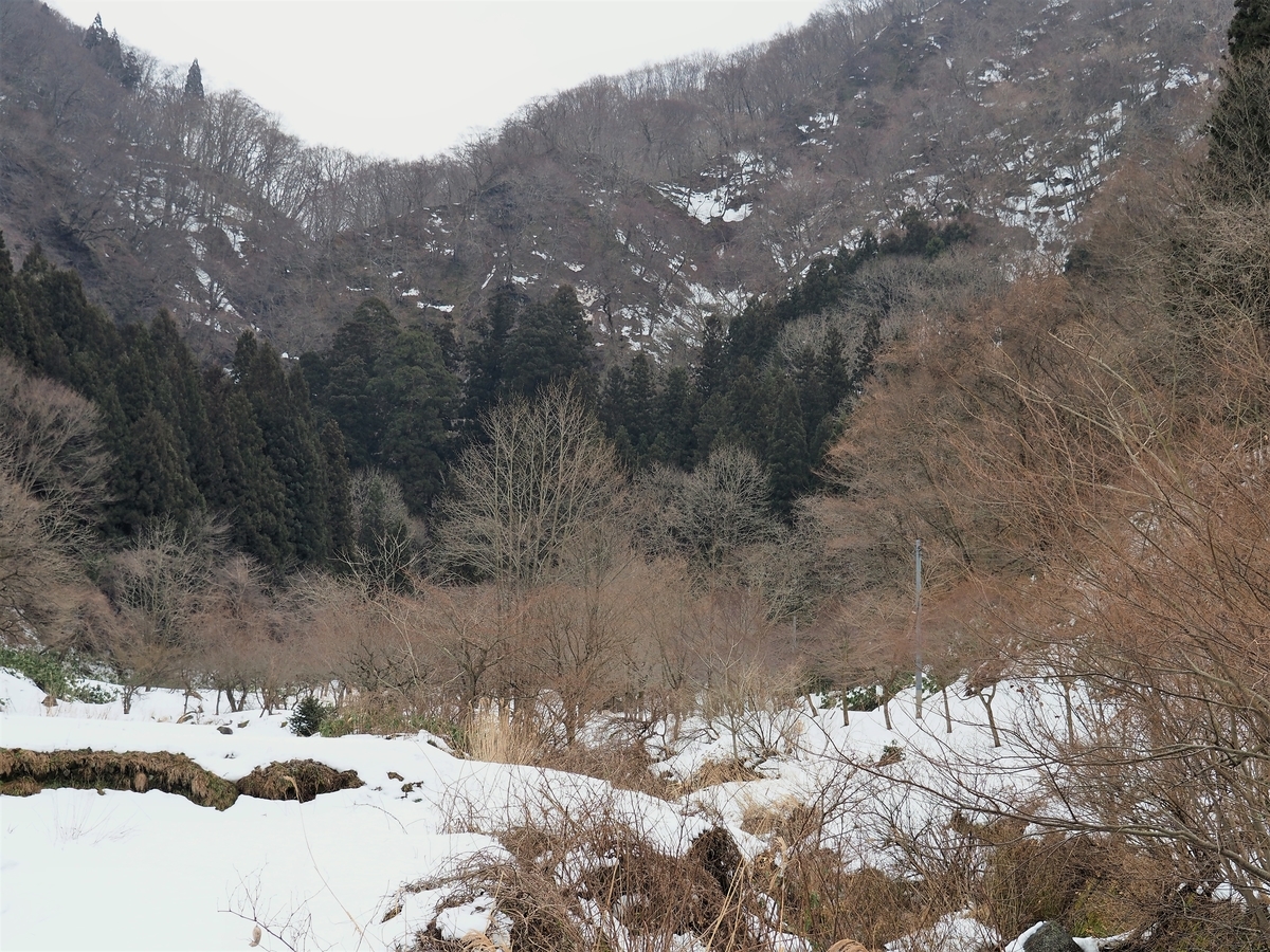 f:id:pft78526:20200217205105j:plain