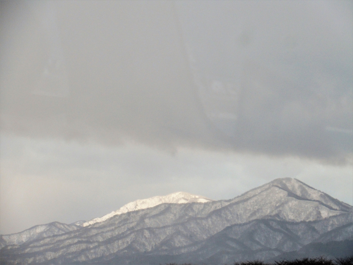 f:id:pft78526:20200221202208j:plain