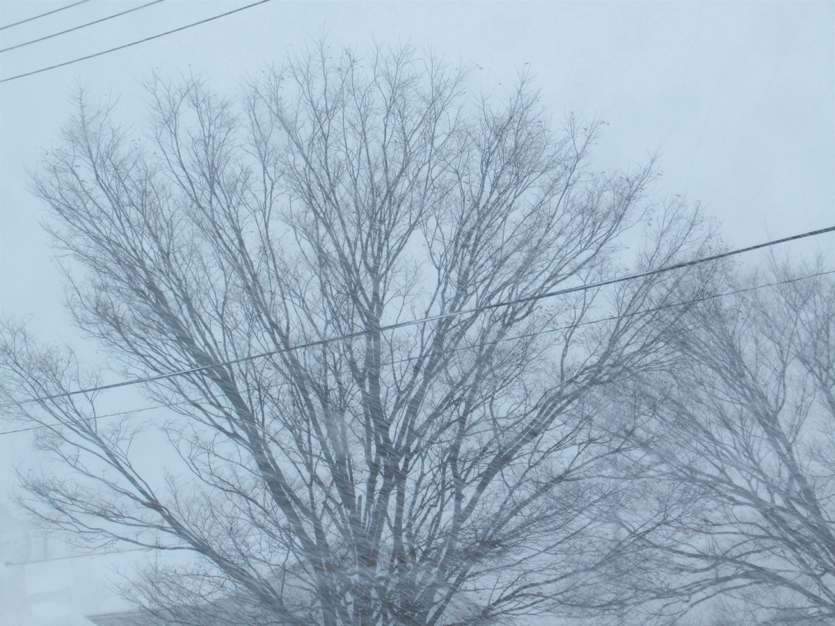 f:id:pft78526:20200221202404j:plain
