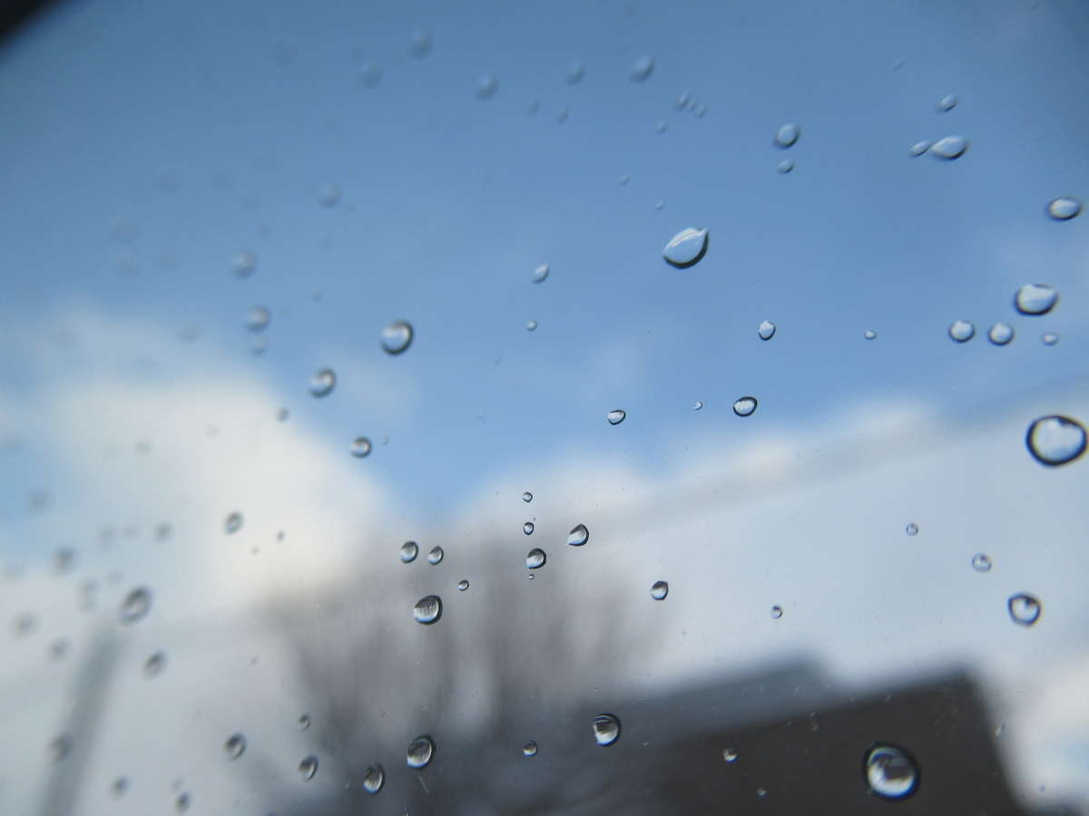 f:id:pft78526:20200221202431j:plain