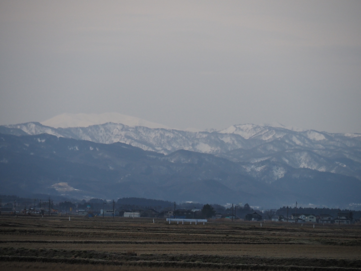 f:id:pft78526:20200222202940j:plain