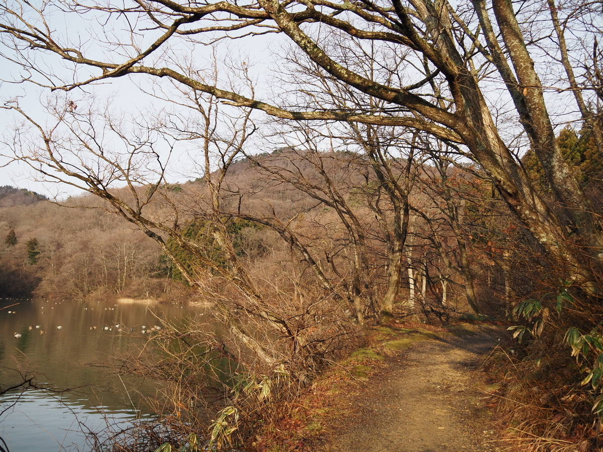 f:id:pft78526:20200222203328j:plain