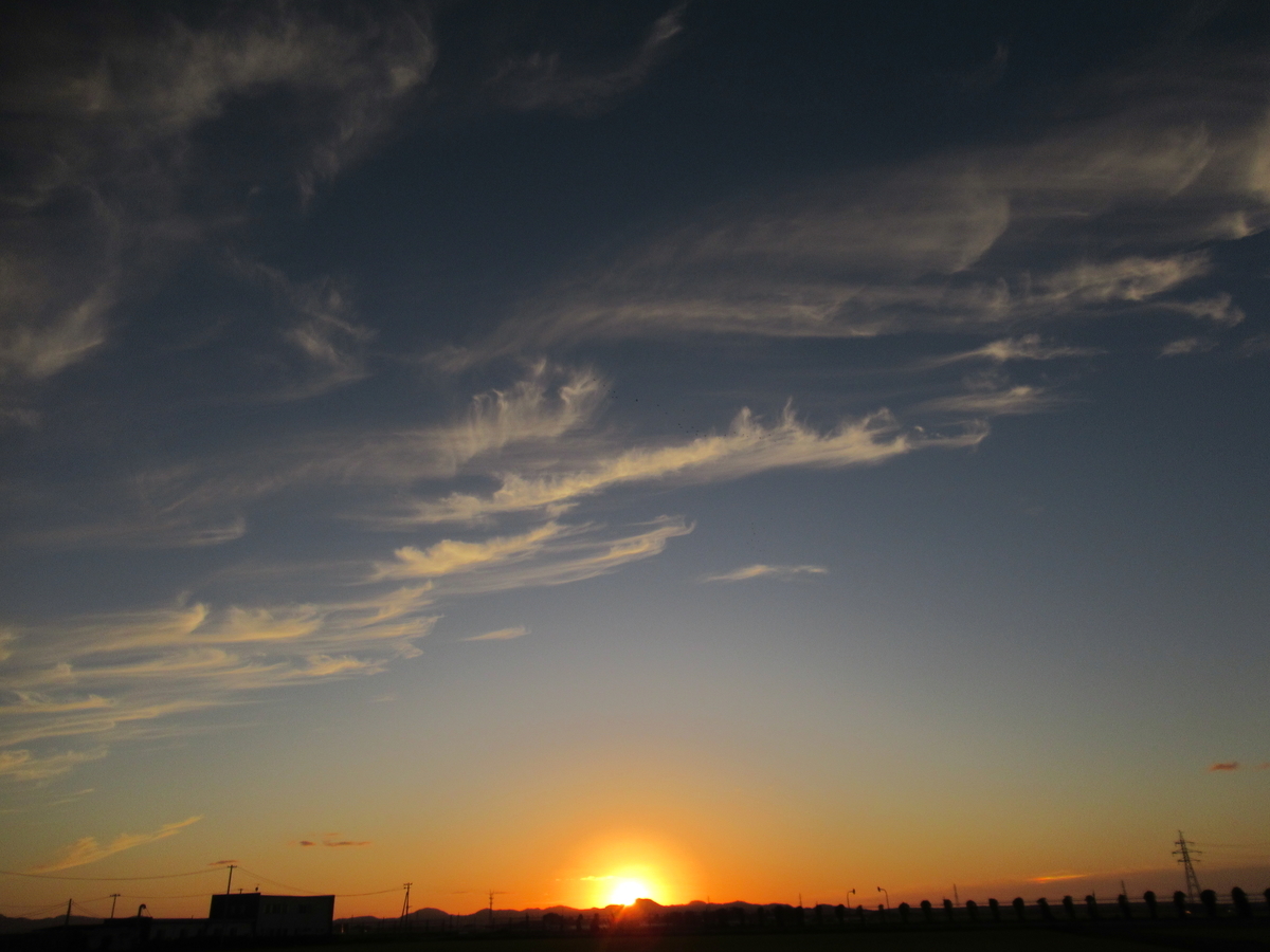 f:id:pft78526:20200225172138j:plain