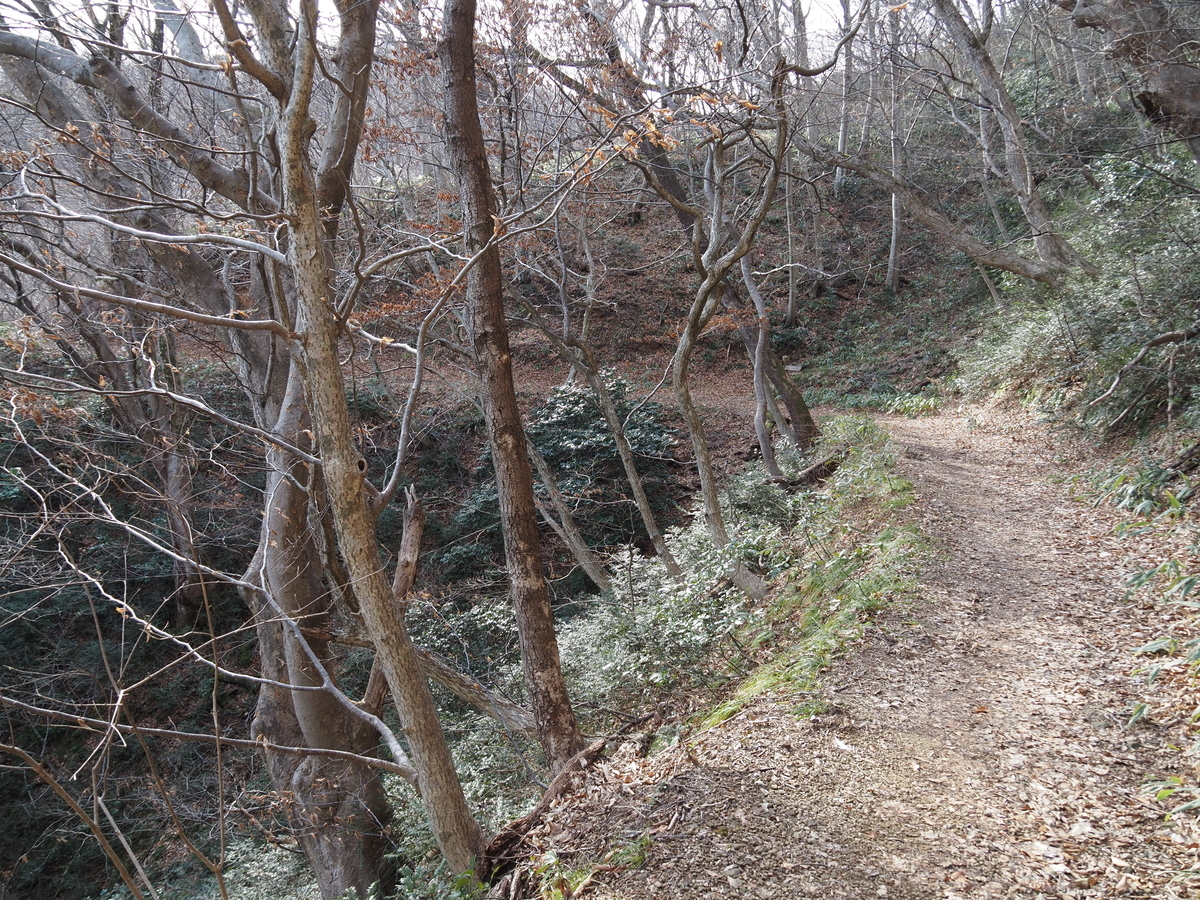 f:id:pft78526:20200229145142j:plain