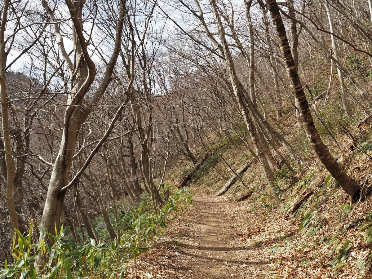 f:id:pft78526:20200301130700j:plain