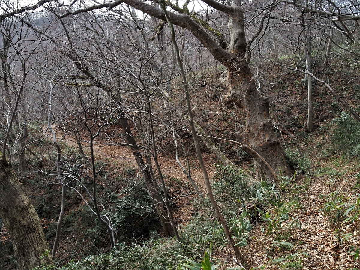 f:id:pft78526:20200301132025j:plain
