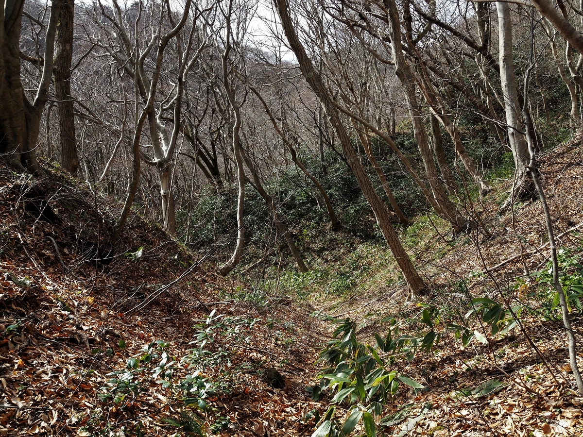 f:id:pft78526:20200301132919j:plain