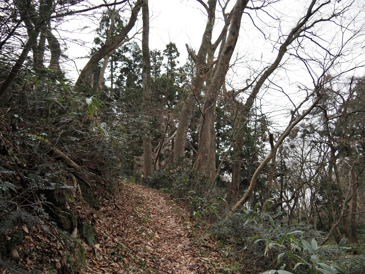 f:id:pft78526:20200301153437j:plain