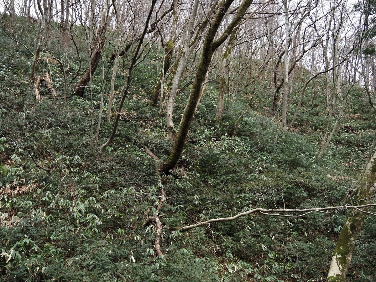 f:id:pft78526:20200301153628j:plain