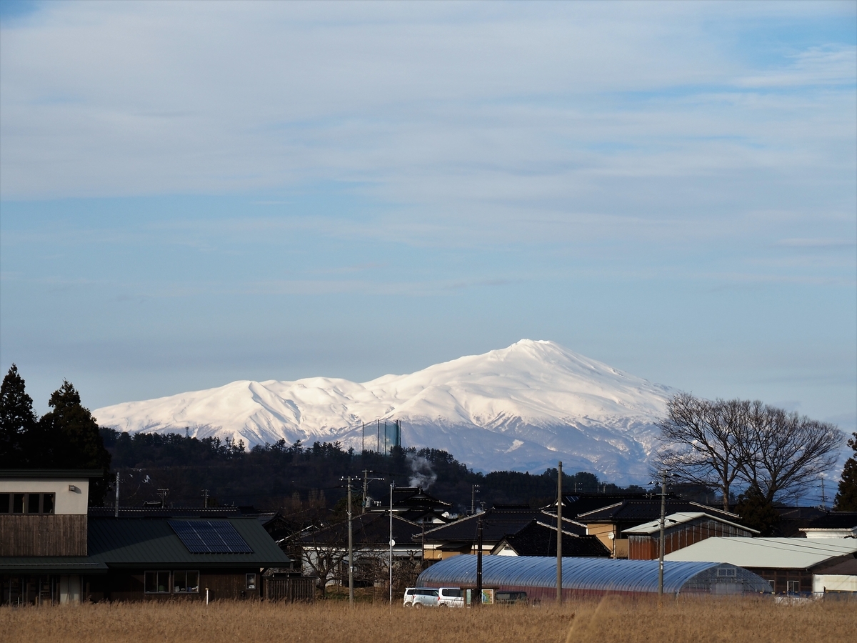 f:id:pft78526:20200315160928j:plain