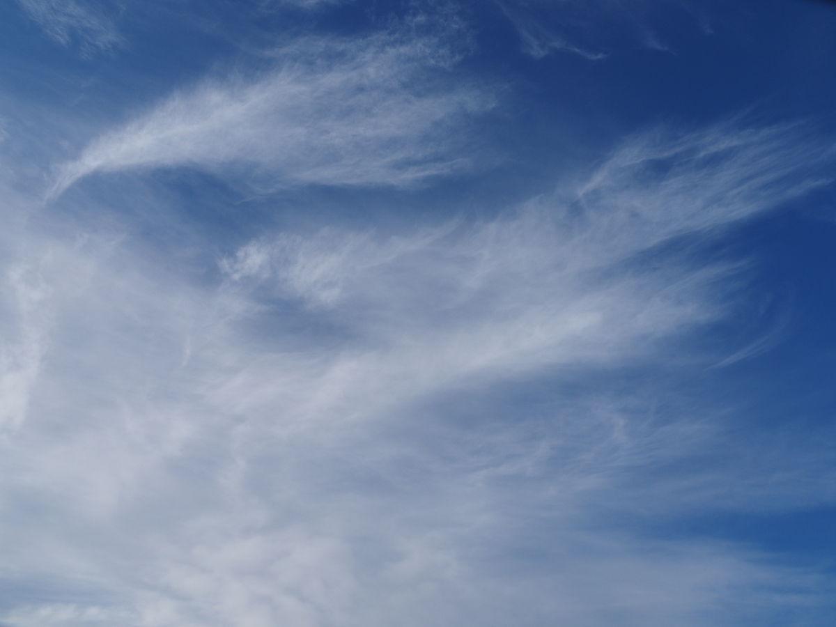 f:id:pft78526:20200315161124j:plain