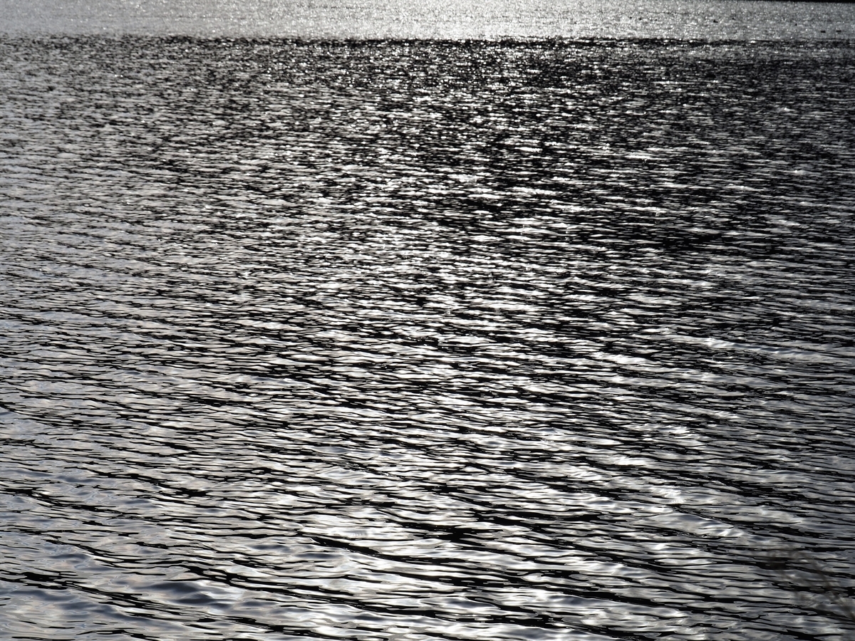 f:id:pft78526:20200315161241j:plain