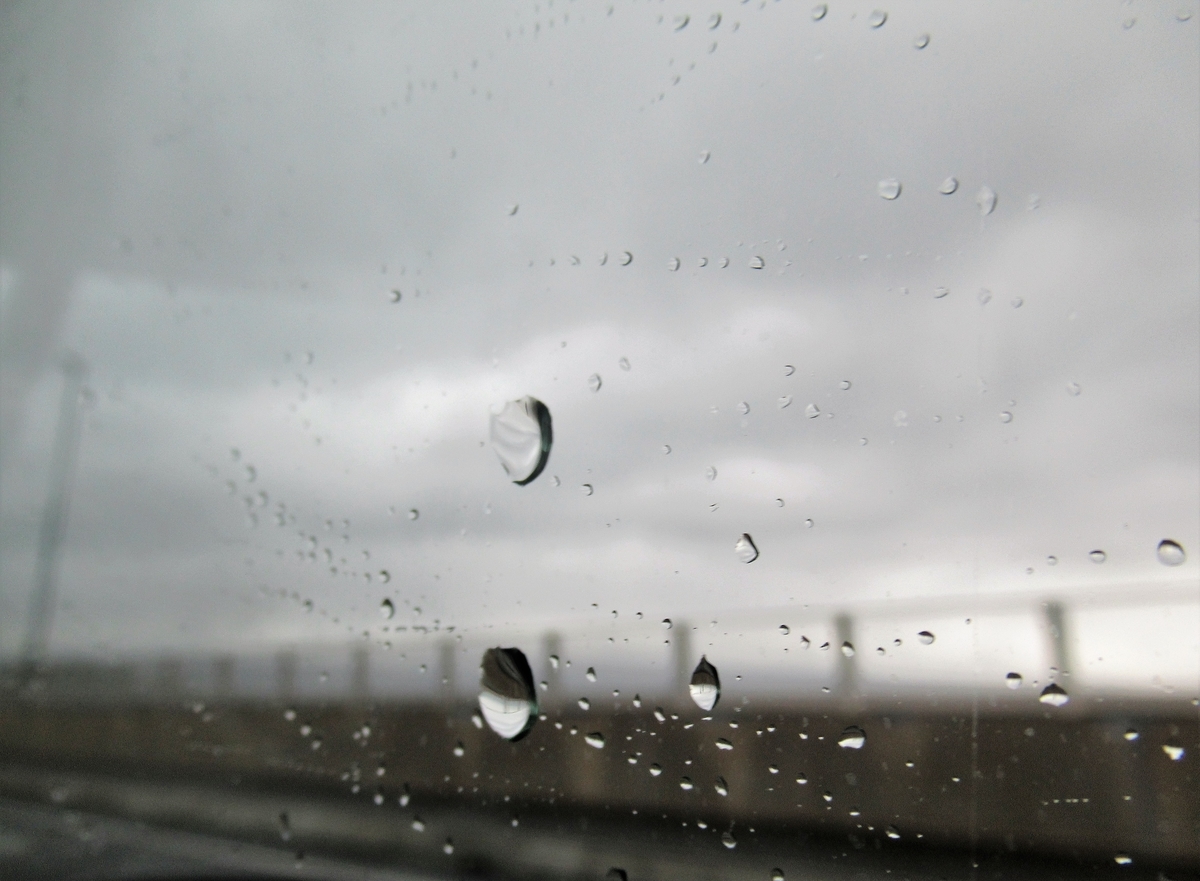 f:id:pft78526:20200405132253j:plain