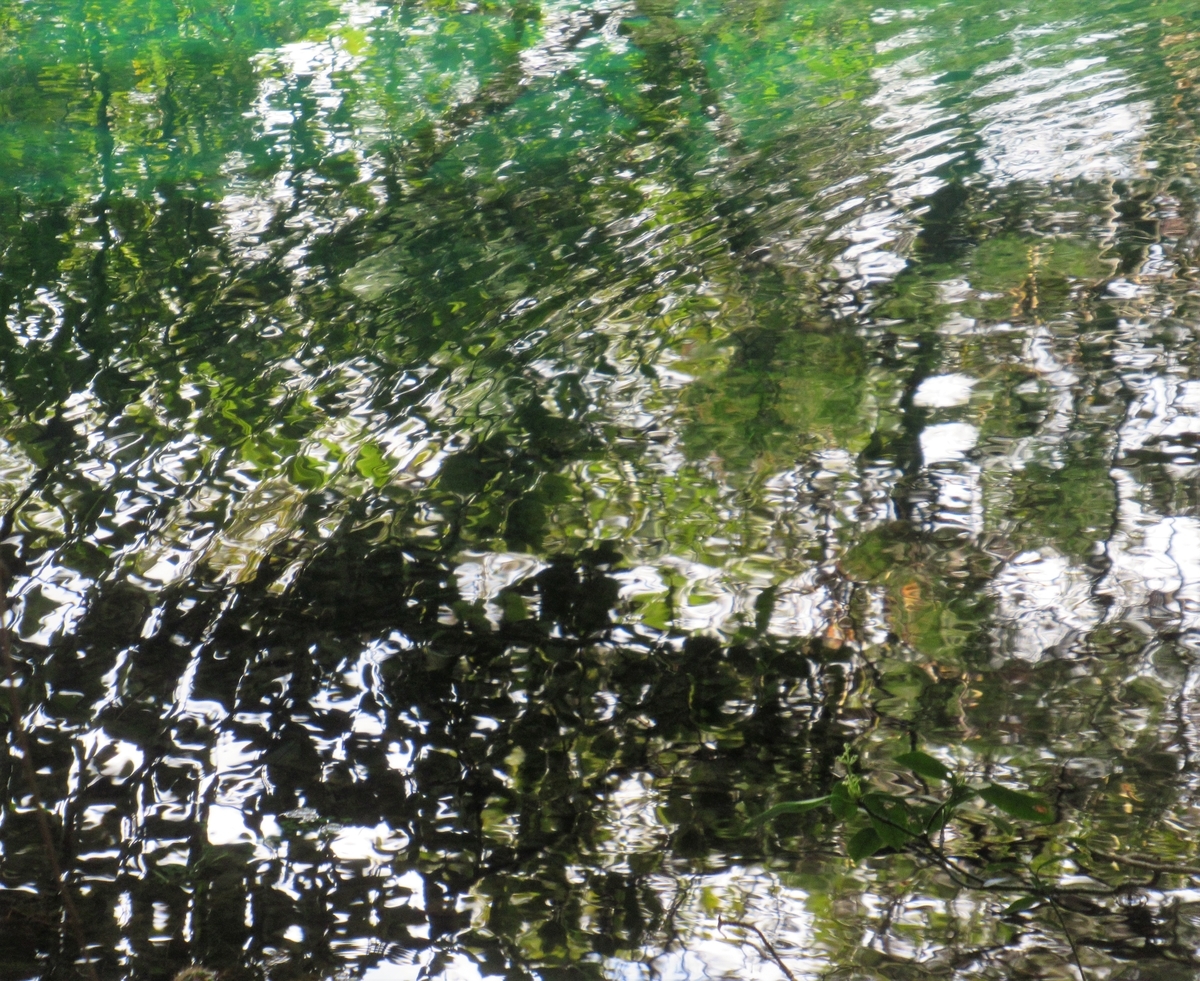 f:id:pft78526:20200405142939j:plain