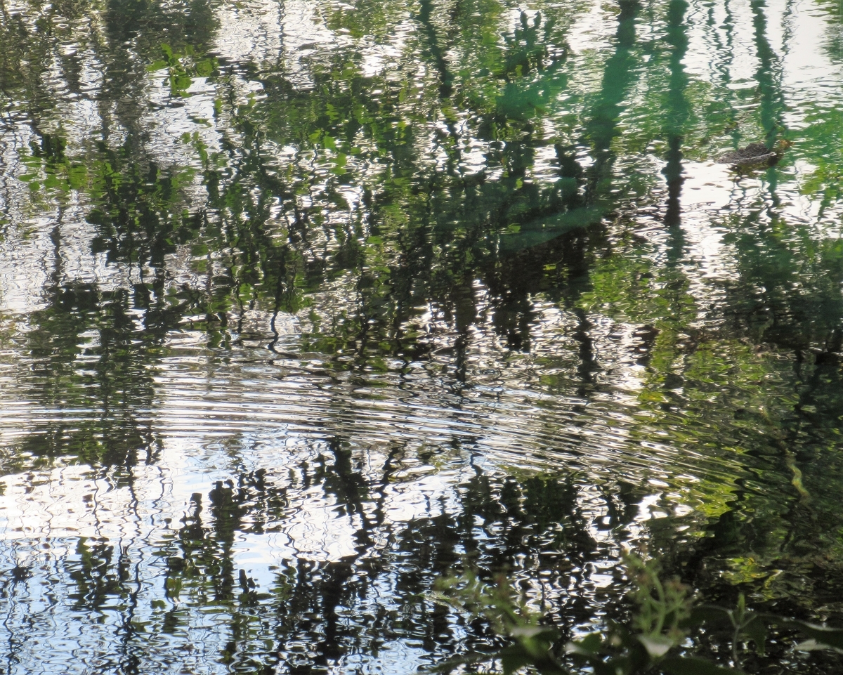 f:id:pft78526:20200405143133j:plain