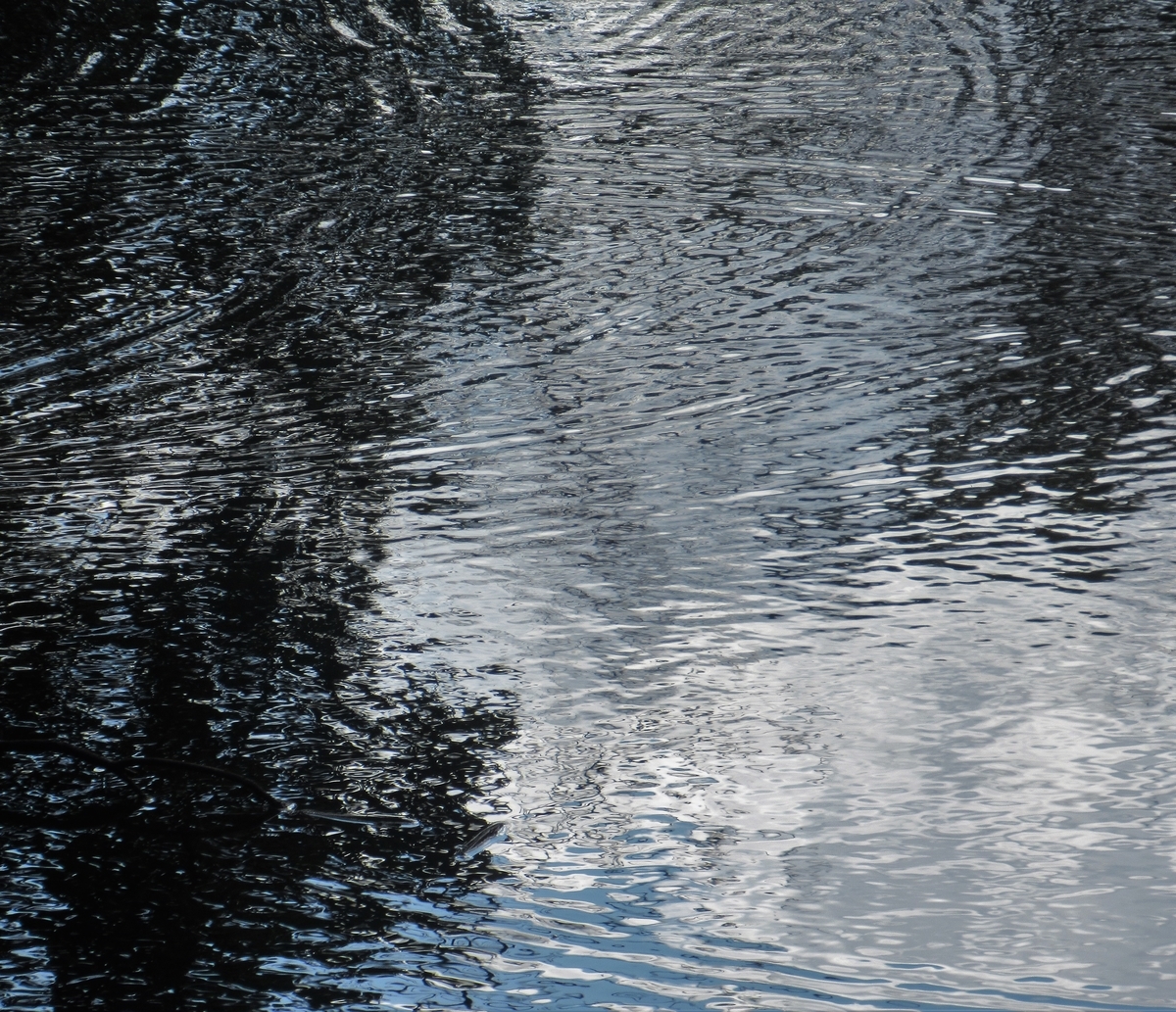 f:id:pft78526:20200405143316j:plain