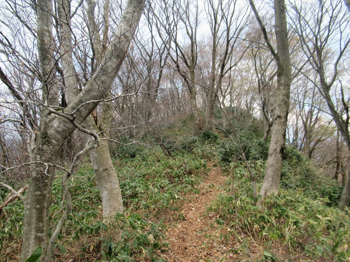 f:id:pft78526:20200413174900j:plain