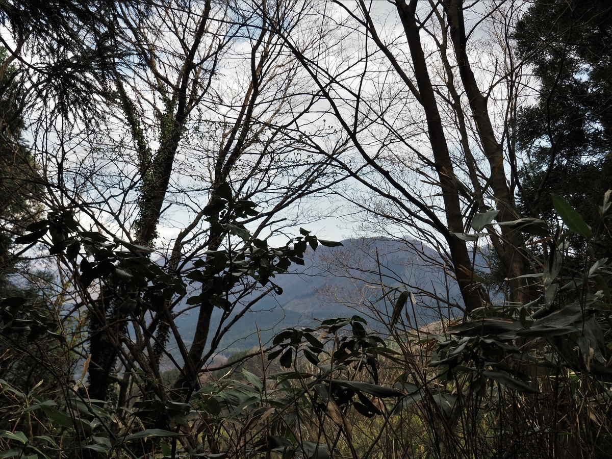 f:id:pft78526:20200416211124j:plain