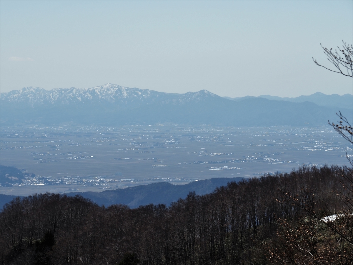 f:id:pft78526:20200417215704j:plain f:id:pft78526:20200417215704j:plain