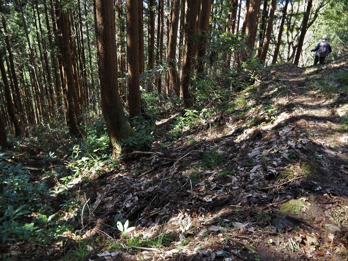 f:id:pft78526:20200418090705j:plain f:id:pft78526:20200418090705j:plain