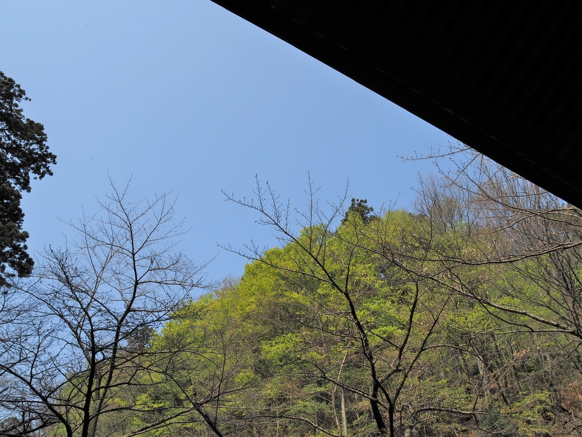 f:id:pft78526:20200418131309j:plain