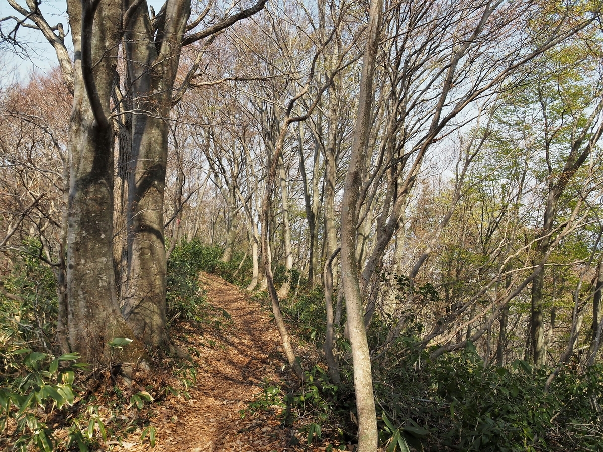 f:id:pft78526:20200418163728j:plain f:id:pft78526:20200418163728j:plain