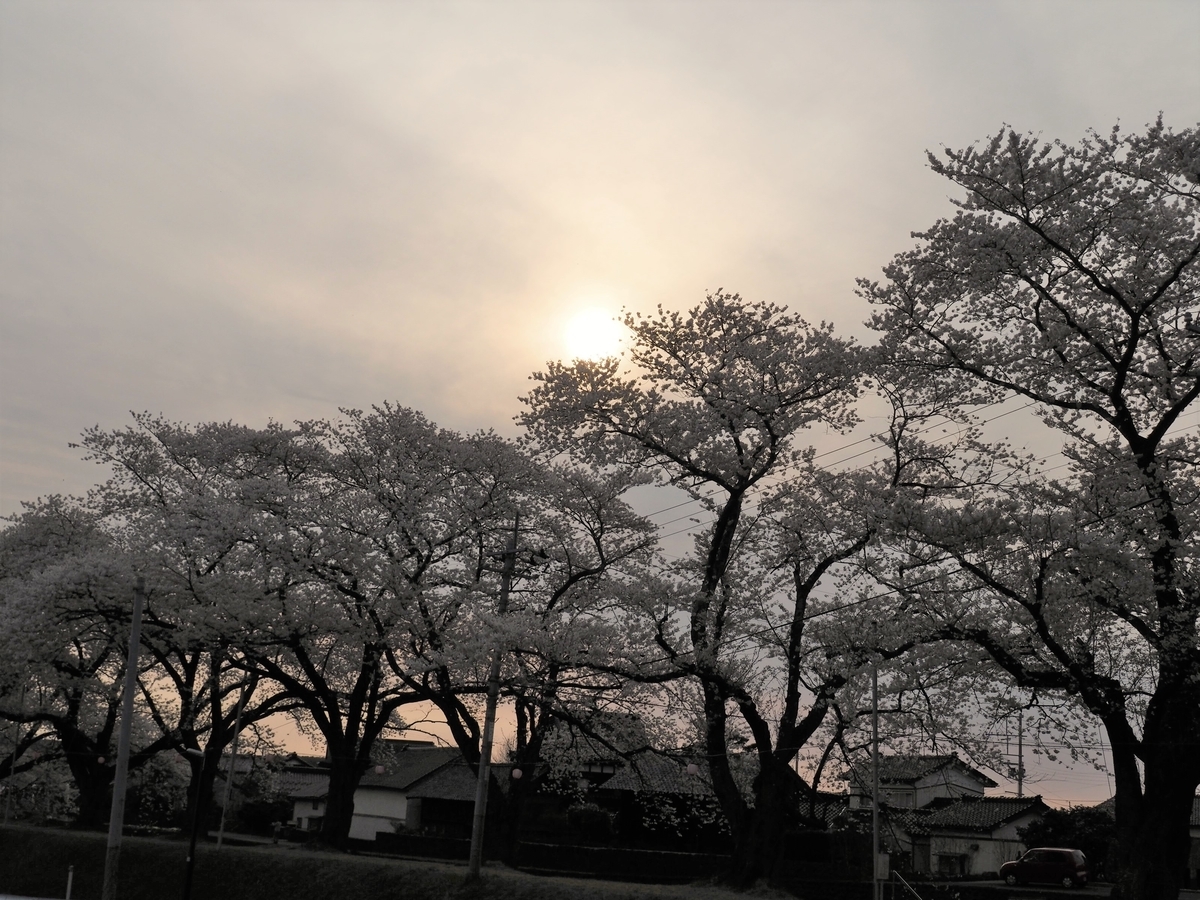 f:id:pft78526:20200418183651j:plain