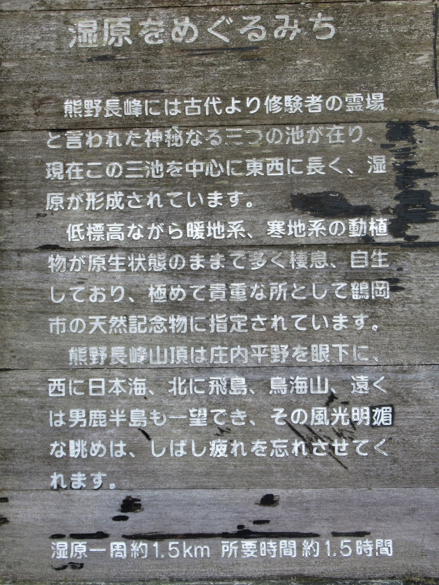 f:id:pft78526:20200502153232j:plain
