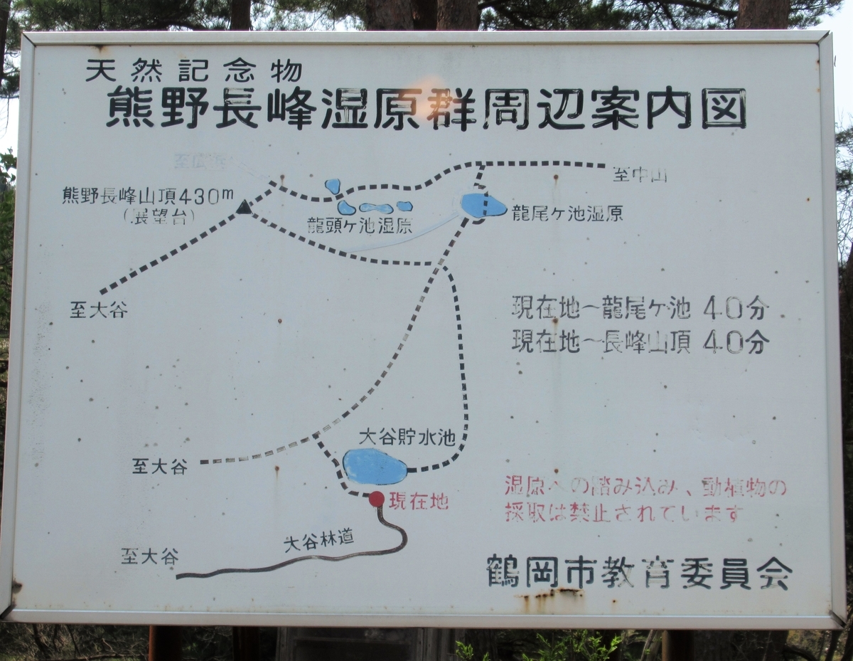 f:id:pft78526:20200502153422j:plain