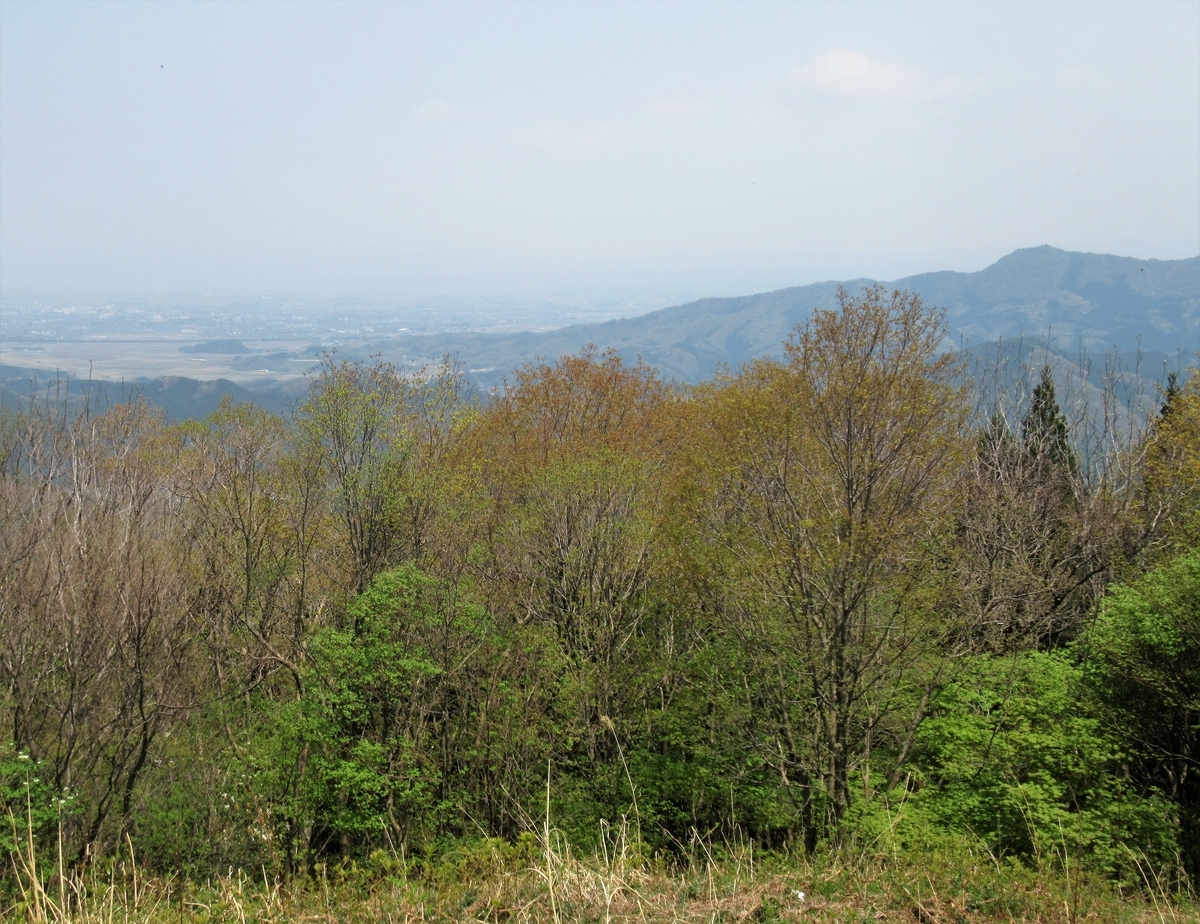 f:id:pft78526:20200502165934j:plain