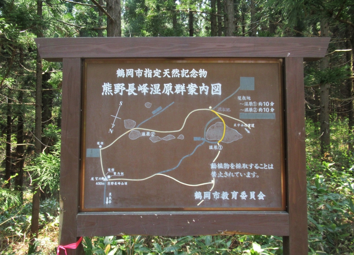 f:id:pft78526:20200502182642j:plain