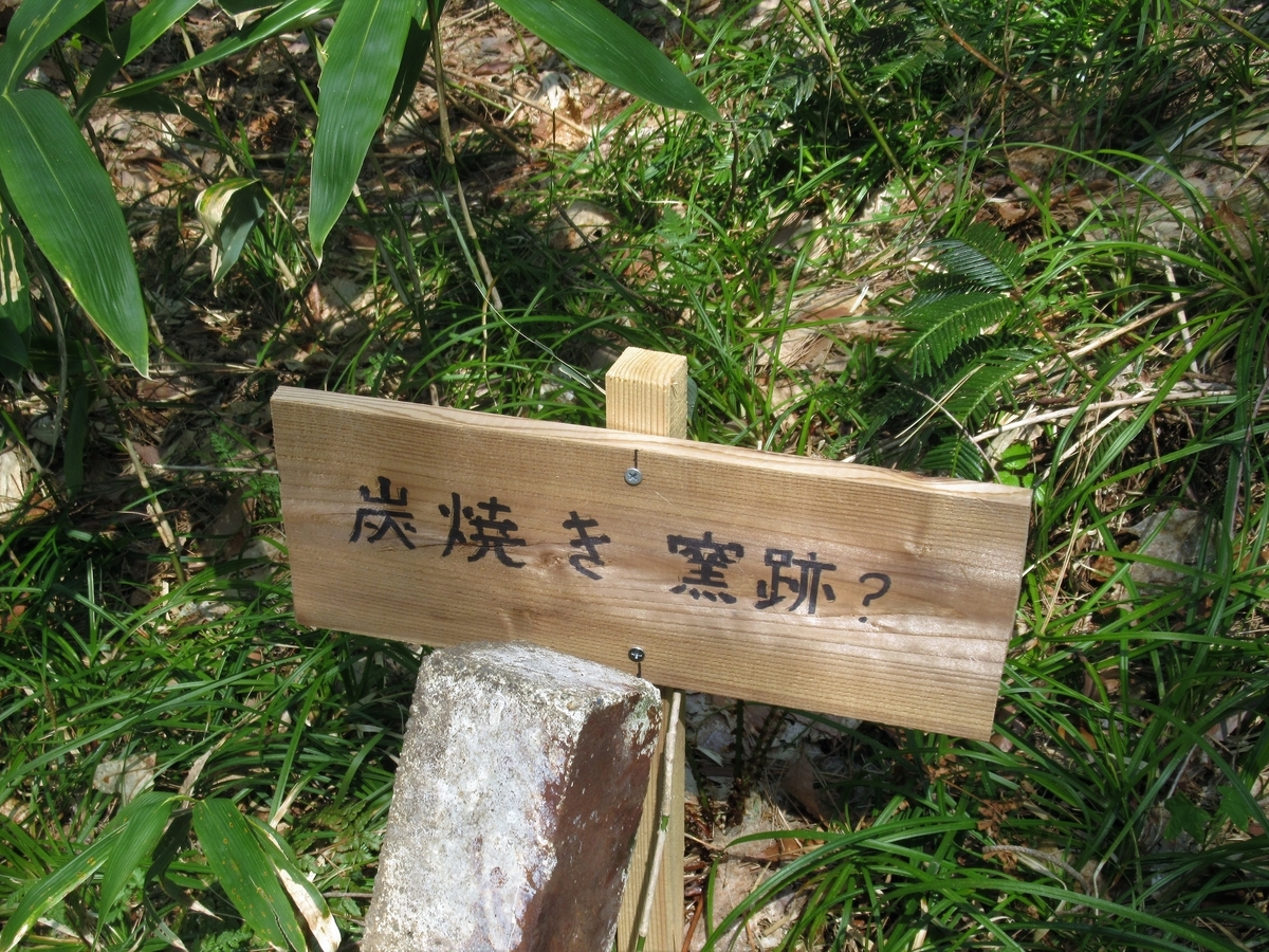 f:id:pft78526:20200502185543j:plain
