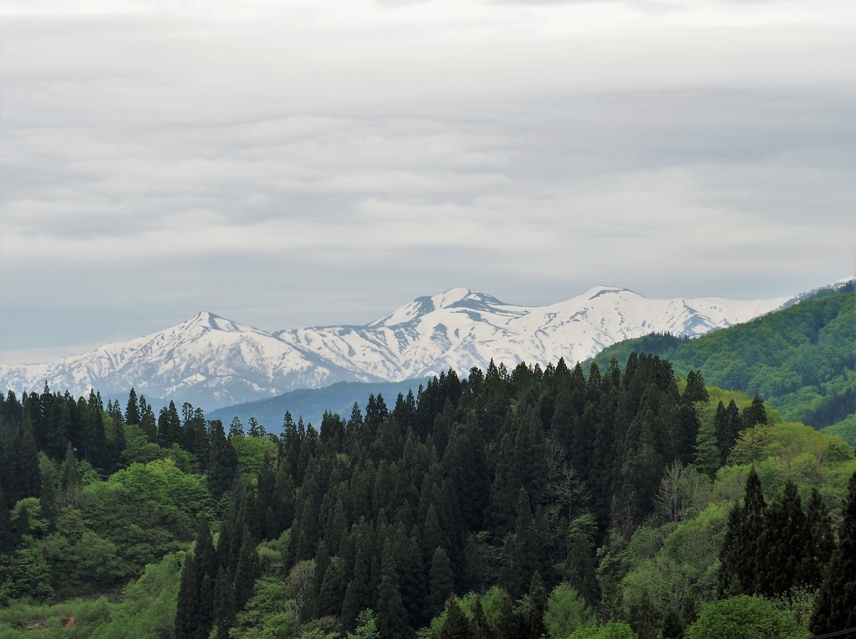 f:id:pft78526:20200516175145j:plain