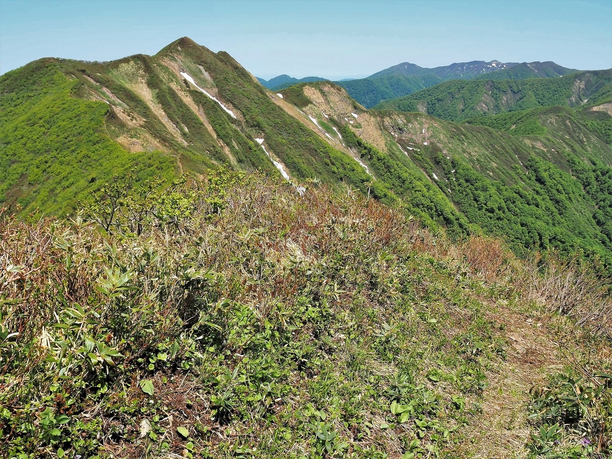 f:id:pft78526:20200531135937j:plain