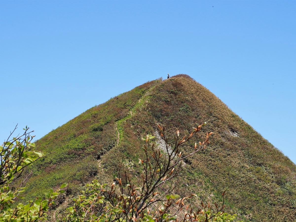 f:id:pft78526:20200531193232j:plain