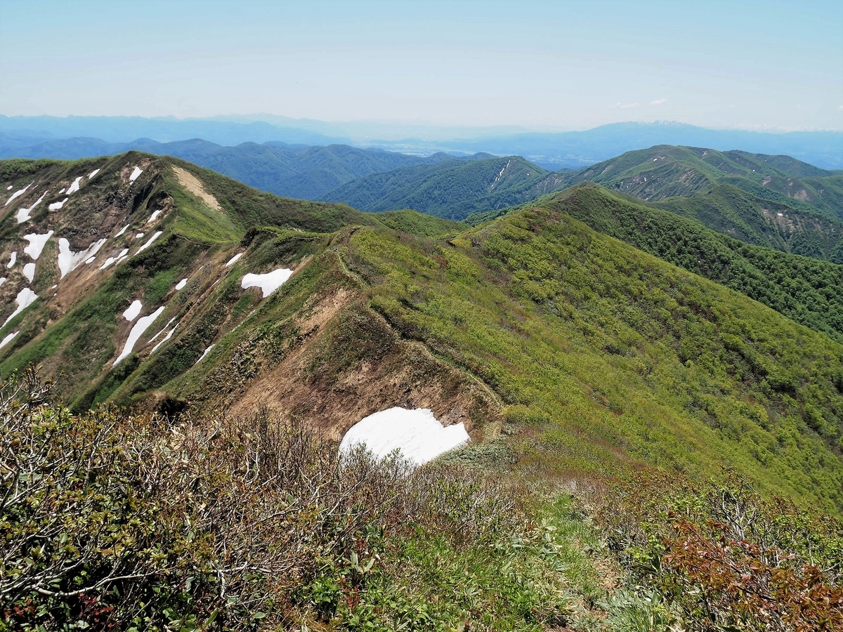 f:id:pft78526:20200531194631j:plain