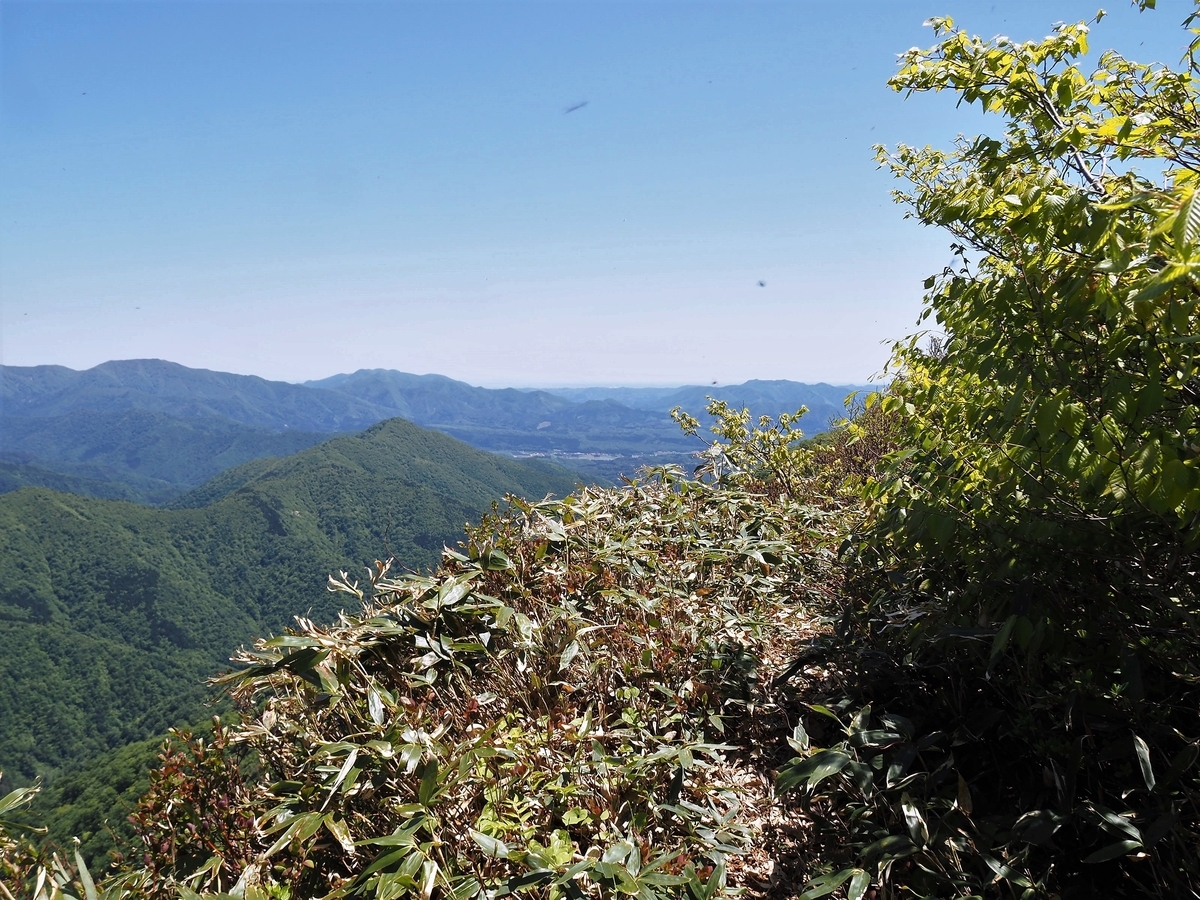 f:id:pft78526:20200531195420j:plain