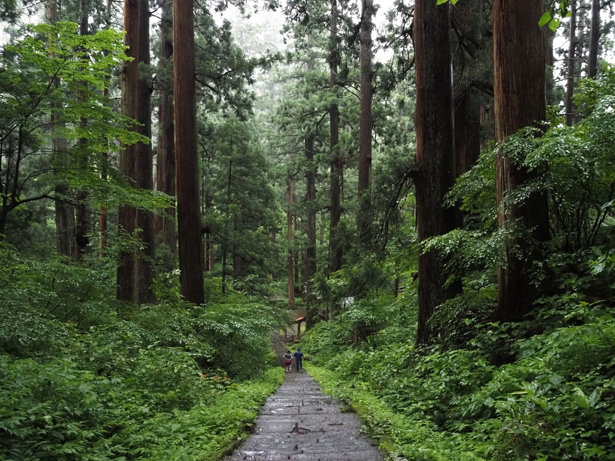 f:id:pft78526:20200712092427j:plain